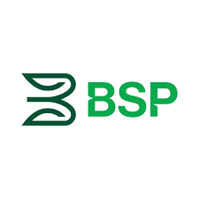 BSP  